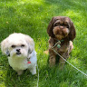 Meet your Posher, Leila